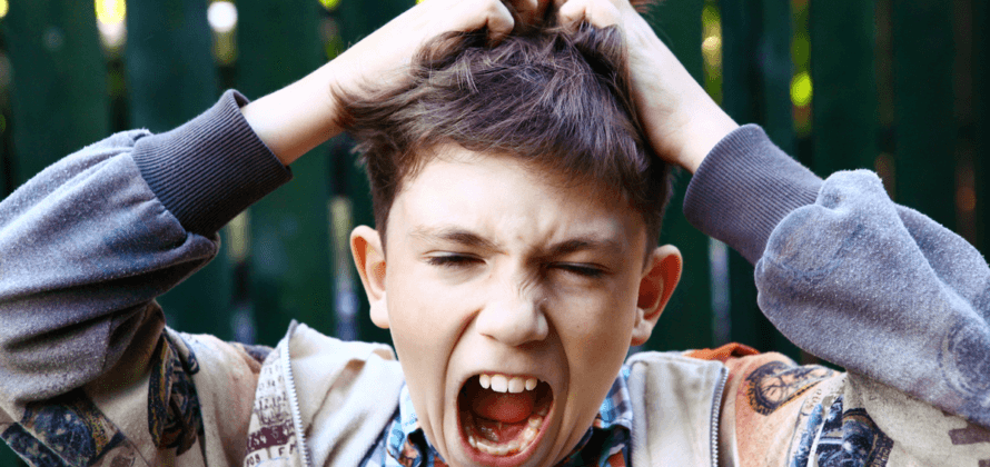 Sådan slipper du af med lopperne