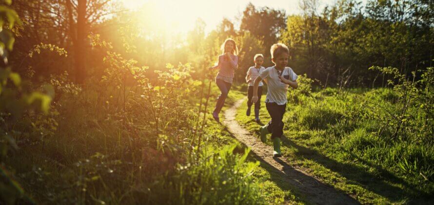 Sådan sikrer du dine børn vitaminer og mineraler i madpakken