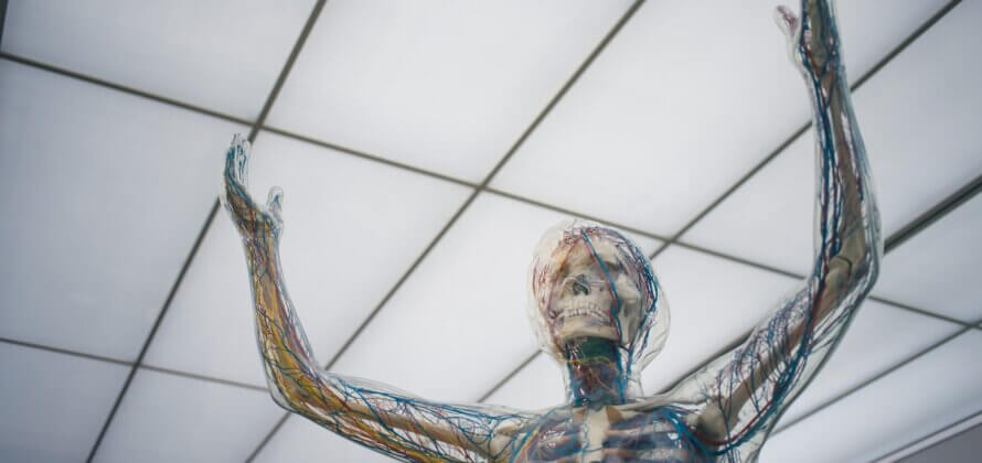 Når nervesystemet går i stykker